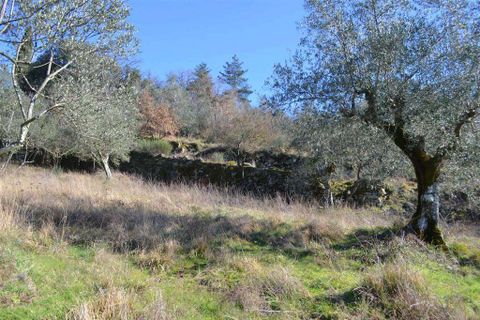 Farm hus i Rufina, Florence, Rufina - € 319.000 | Ref: C162-1157697 - foto 11