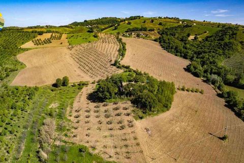 Villa a Penne, Pescara, Penne - € 550.000 | Ref: EL1162-1171502 - foto 13