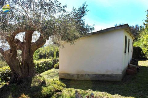 Villa a Bisenti, Teramo, Bisenti - € 78.000 | Ref: EL1163-1171529 - foto 9