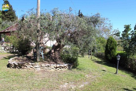 Villa a Bisenti, Teramo, Bisenti - € 78.000 | Ref: EL1163-1171529 - foto 22