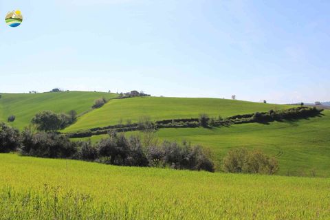 Helårsgrund i Penne, Pescara, Penne - € 54.000 | Ref: EL1164-1171555 - foto 3