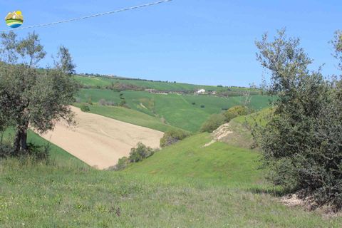 Helårsgrund i Penne, Pescara, Penne - € 54.000 | Ref: EL1164-1171555 - foto 5
