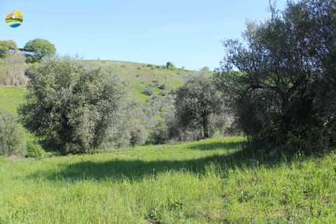 Helårsgrund i Penne, Pescara, Penne - € 54.000 | Ref: EL1164-1171555 - foto 7