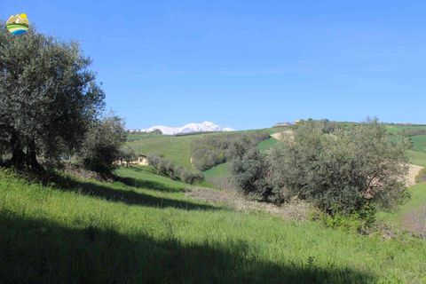 Helårsgrund i Penne, Pescara, Penne - € 54.000 | Ref: EL1164-1171555 - foto 8