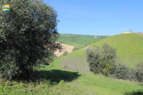 Helårsgrund i Penne, Pescara, Penne - € 54.000 | Ref: EL1164-1171555 - foto 9