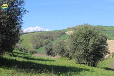 Helårsgrund i Penne, Pescara, Penne - € 54.000 | Ref: EL1164-1171555 - foto 10