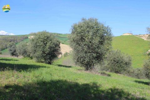 Helårsgrund i Penne, Pescara, Penne - € 54.000 | Ref: EL1164-1171555 - foto 11