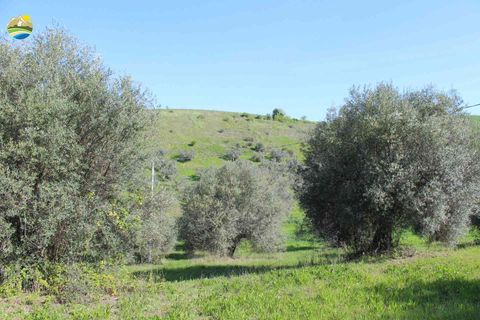 Helårsgrund i Penne, Pescara, Penne - € 54.000 | Ref: EL1164-1171555 - foto 12