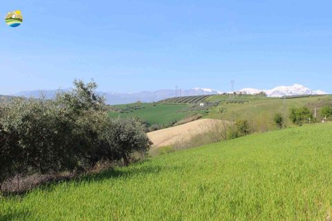 Helårsgrund i Penne, Pescara, Penne - € 54.000 | Ref: EL1164-1171555 - foto 15