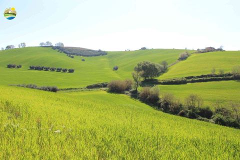 Helårsgrund i Penne, Pescara, Penne - € 54.000 | Ref: EL1164-1171555 - foto 16