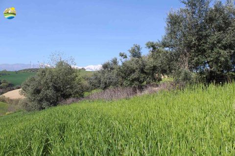 Helårsgrund i Penne, Pescara, Penne - € 54.000 | Ref: EL1164-1171555 - foto 17