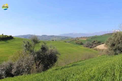 Helårsgrund i Penne, Pescara, Penne - € 54.000 | Ref: EL1164-1171555 - foto 18
