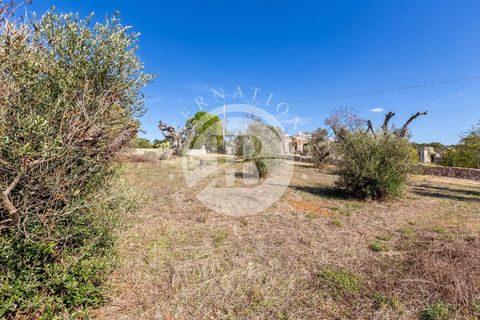 Villa a Salve, Lecce, Salve - € 440.000 | Ref: DA 143 - foto 8