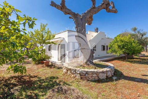 Villa a Salve, Lecce, Salve - € 440.000 | Ref: DA 143 - foto 31