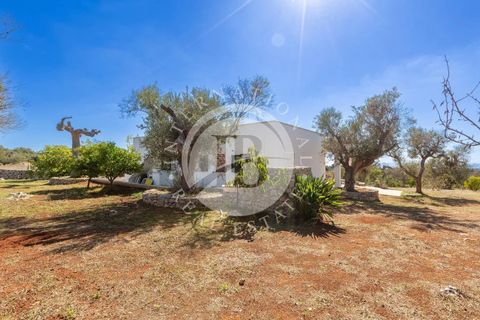 Villa a Salve, Lecce, Salve - € 440.000 | Ref: DA 143 - foto 34
