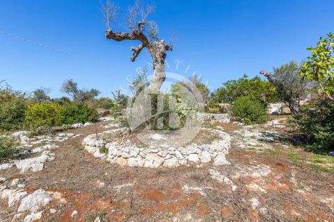 Villa a Salve, Lecce, Salve - € 440.000 | Ref: DA 143 - foto 36