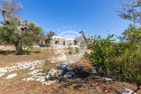 Villa a Salve, Lecce, Salve - € 440.000 | Ref: DA 143 - foto 37