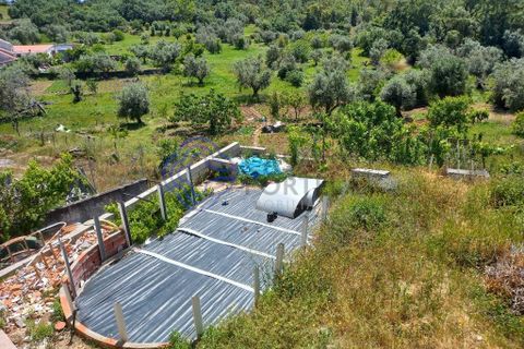 Byhus i Tomar, Santarem, Tomar - € 295.000 | Ref: 1128371 - foto 24