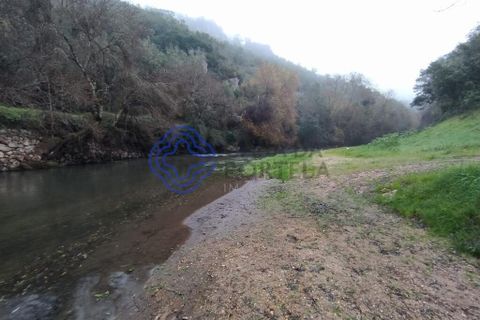 Byhus i Tomar, Santarem, Tomar - € 295.000 | Ref: 1128371 - foto 29