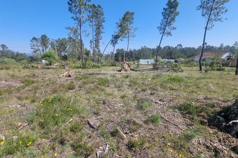 Helårsgrund i Castelo Branco, Castelo Branco, Castelo Branco - € 24.000 | Ref: H778 - foto 4