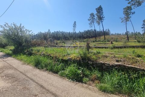 Helårsgrund i Castelo Branco, Castelo Branco, Castelo Branco - € 24.000 | Ref: H778 - foto 6
