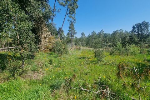 Helårsgrund i Castelo Branco, Castelo Branco, Castelo Branco - € 24.000 | Ref: H778 - foto 9