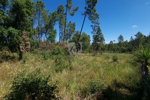 Helårsgrund i Castelo Branco, Castelo Branco, Castelo Branco - € 24.000 | Ref: H778 - foto 10