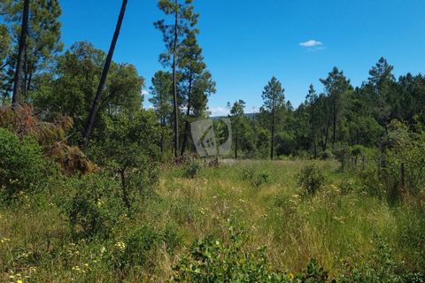Helårsgrund i Castelo Branco, Castelo Branco, Castelo Branco - € 24.000 | Ref: H778 - foto 11