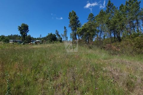 Helårsgrund i Castelo Branco, Castelo Branco, Castelo Branco - € 24.000 | Ref: H778 - foto 14