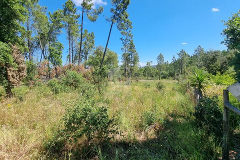 Helårsgrund i Castelo Branco, Castelo Branco, Castelo Branco - € 24.000 | Ref: H778 - foto 17