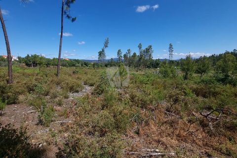 Helårsgrund i Castelo Branco, Castelo Branco, Castelo Branco - € 24.000 | Ref: H778 - foto 21