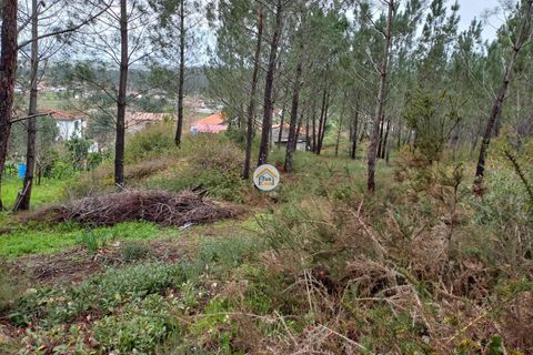 Helårsgrund i Miranda do Corvo, Coimbra, Miranda do Corvo - € 25.000 | Ref: 1TC4275 - foto 2