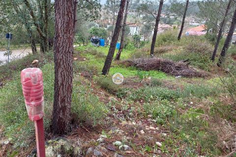 Helårsgrund i Miranda do Corvo, Coimbra, Miranda do Corvo - € 25.000 | Ref: 1TC4275 - foto 3