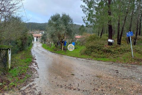 Helårsgrund i Miranda do Corvo, Coimbra, Miranda do Corvo - € 25.000 | Ref: 1TC4275 - foto 5
