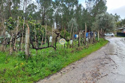 Helårsgrund i Miranda do Corvo, Coimbra, Miranda do Corvo - € 25.000 | Ref: 1TC4275 - foto 6