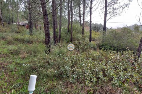 Helårsgrund i Miranda do Corvo, Coimbra, Miranda do Corvo - € 25.000 | Ref: 1TC4275 - foto 7