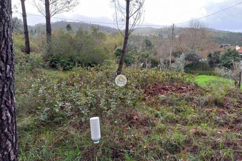 Helårsgrund i Miranda do Corvo, Coimbra, Miranda do Corvo - € 25.000 | Ref: 1TC4275 - foto 8