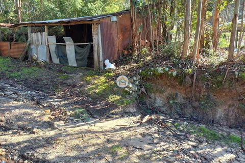 Helårsgrund i Miranda do Corvo, Coimbra, Miranda do Corvo - € 25.000 | Ref: 1TC4275 - foto 10