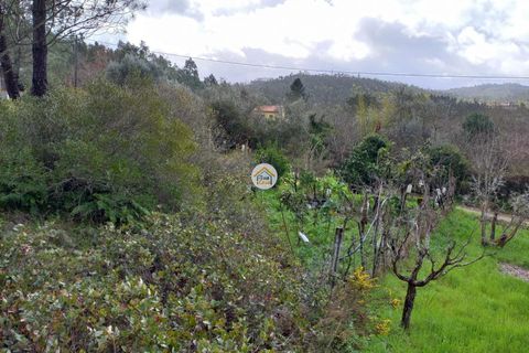 Helårsgrund i Miranda do Corvo, Coimbra, Miranda do Corvo - € 25.000 | Ref: 1TC4275 - foto 12