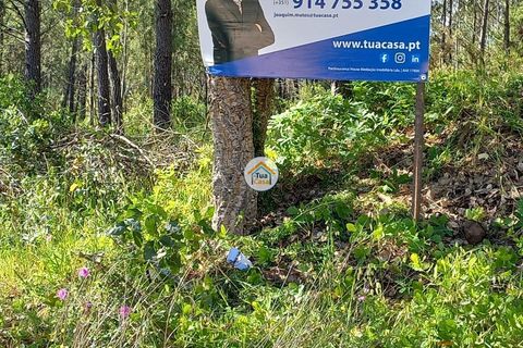 Helårsgrund i Miranda do Corvo, Coimbra, Miranda do Corvo - € 25.000 | Ref: 1TC4275 - foto 13