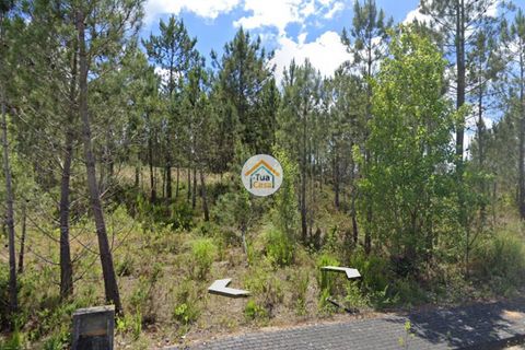 Helårsgrund i Pombal, Leiria, Pombal - € 23.500 | Ref: 26TC4276 - foto 2