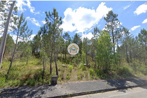 Helårsgrund i Pombal, Leiria, Pombal - € 23.500 | Ref: 26TC4276 - foto 3