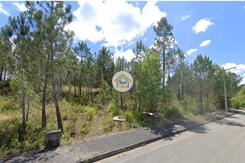 Helårsgrund i Pombal, Leiria, Pombal - € 23.500 | Ref: 26TC4276 - foto 4
