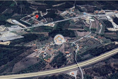 Helårsgrund i Pombal, Leiria, Pombal - € 23.500 | Ref: 26TC4276 - foto 7