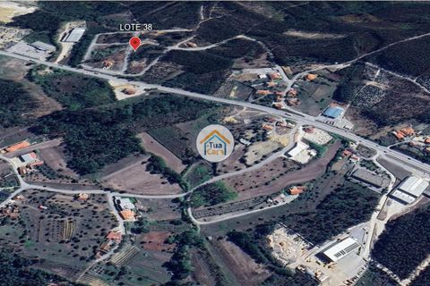 Helårsgrund i Pombal, Leiria, Pombal - € 23.500 | Ref: 26TC4276 - foto 8