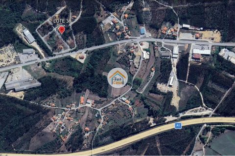 Helårsgrund i Pombal, Leiria, Pombal - € 23.500 | Ref: 26TC4276 - foto 9