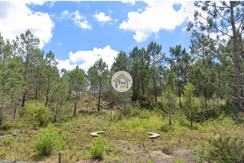 Helårsgrund i Pombal, Leiria, Pombal - € 23.500 | Ref: 26TC4280 - foto 2