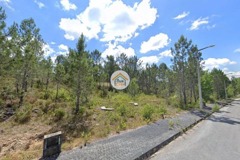 Helårsgrund i Pombal, Leiria, Pombal - € 23.500 | Ref: 26TC4280 - foto 3