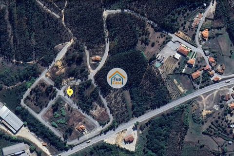 Helårsgrund i Pombal, Leiria, Pombal - € 23.500 | Ref: 26TC4280 - foto 7