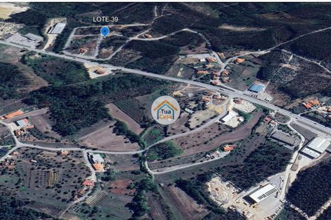 Helårsgrund i Pombal, Leiria, Pombal - € 23.500 | Ref: 26TC4280 - foto 9